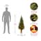 4ft. Pre-Lit Montclair Spruce Entrance Artificial Christmas Tree with Clear Lights